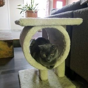 Meet your Posher, Ruth